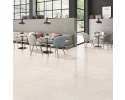Homes Ivory 60x60x7mm Rect. (1,44) Polished Egen