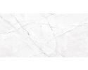 Royal Valencia Silver Grey 60x120x8mm Rect (1,44) Polished Egen