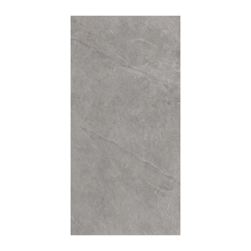 Ash Silver 59,7x119,7 Gres Szkliwiony Rektyfikowany Struktura Ceramica Limone