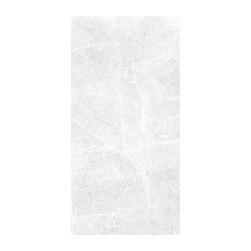 Etnos Silver 59,7x119,7 Gres Szkliwiony Rektyfikowany Polerowany Ceramica Limone Etnos Silver 59,7x119,7 Gres Szkliwiony Rektyfikowany Polerowany Ceramica Limone
