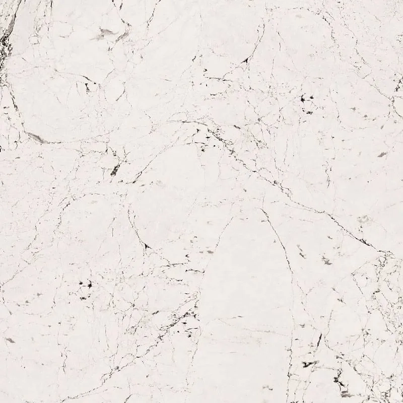 Płytka gresowa Sophisticated white POL 59,8x59,8 Tubądzin Maciej Zień