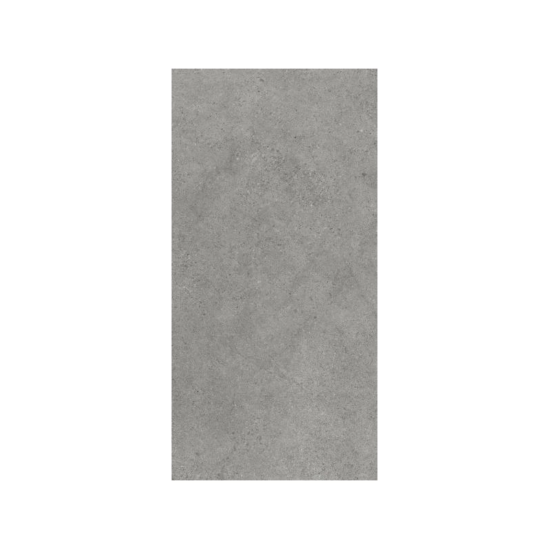 Authority Grey Gres Szkl. Rekt. Mat 59,8x119,8 Paradyż