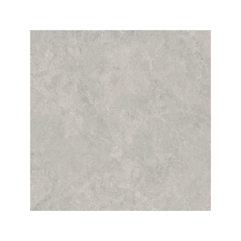 Lightstone Grey Gres Szkl. Rekt. Mat. 59,8x59,8 Paradyż