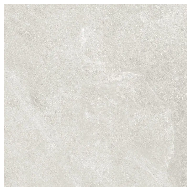 VCG Poland Sg Erde Light Grey Matt 60x60