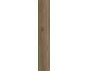 Nodo Brown Gres Szkl. Rekt. Struktura Mat 19,8x119,8 Paradyż