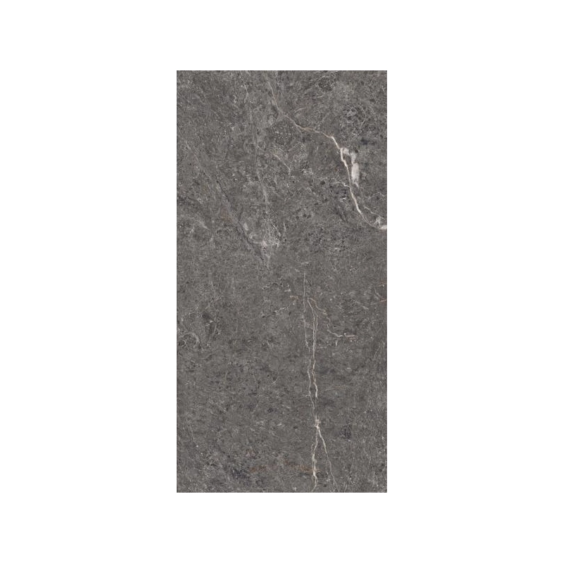 Lumeya Graphite Gres Szkl. Rekt. Struktura Brush Mat 59,8x119,8 Paradyż