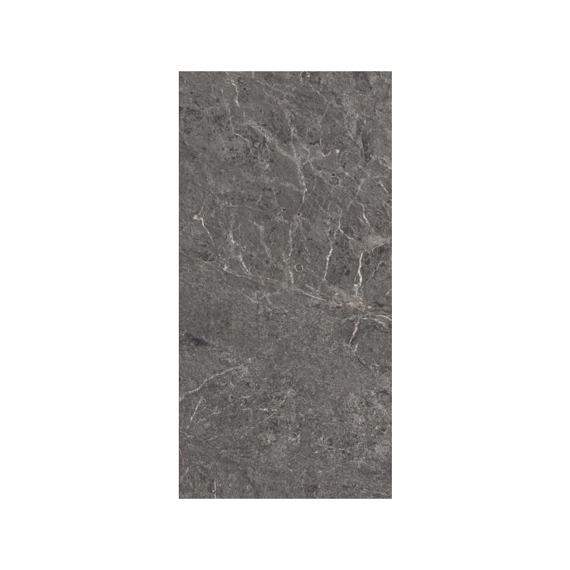 Lumeya Graphite Gres Szkl. Rekt. Struktura Brush Mat 59,8x119,8 Paradyż