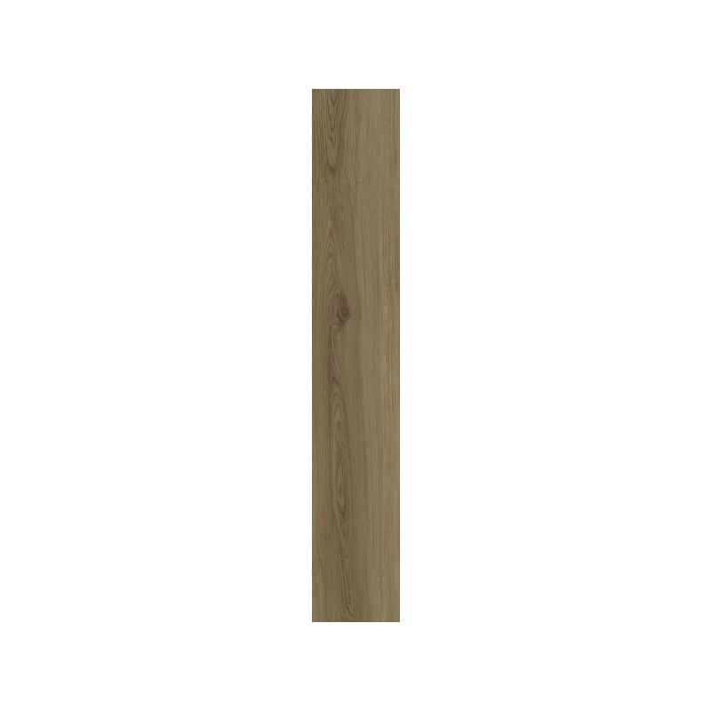 Nodo Brown Gres Szkl. Rekt. Struktura Mat 19,8x119,8 Paradyż
