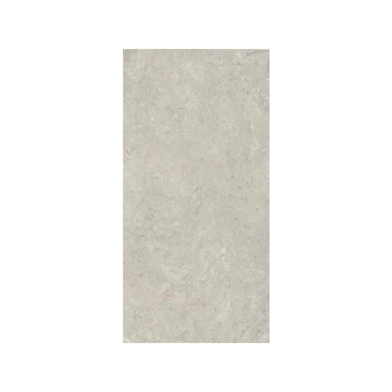 Sedina Grey Gres Szkl. Rekt. Mat 59,8x119,8 Paradyż