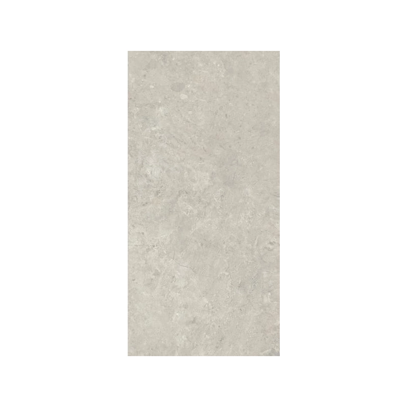 Sedina Grey Gres Szkl. Rekt. Mat 59,8x119,8 Paradyż
