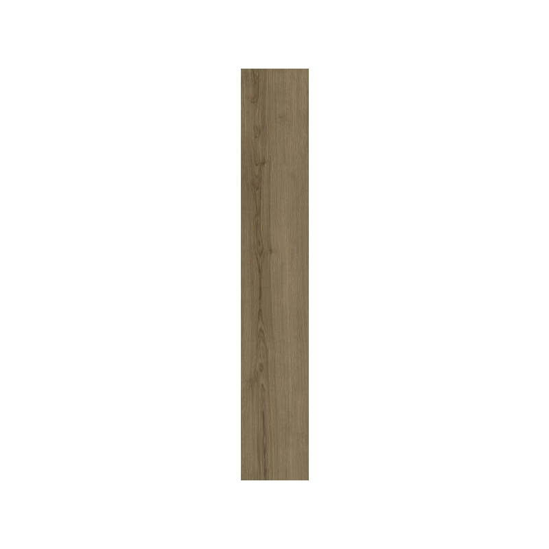 Nodo Brown Gres Szkl. Rekt. Struktura Mat 19,8x119,8 Paradyż